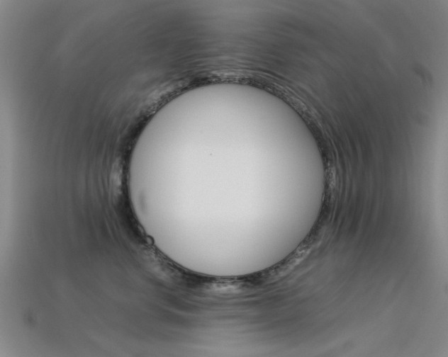 X0000113560668200909181022