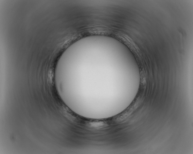 X0000113560669200909181022