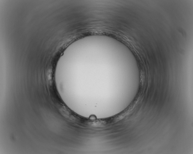 X0000113560670200909181022