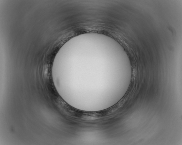 X0000113560671200909181022