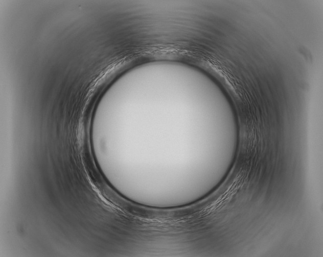 X0000113560674200909181021