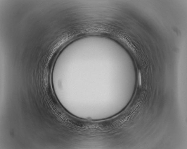 X0000113560675200909181021