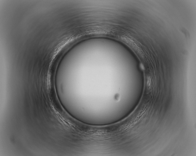 X0000113560676200909181021