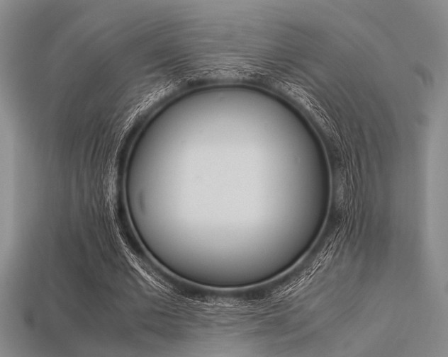 X0000113560677200909181021