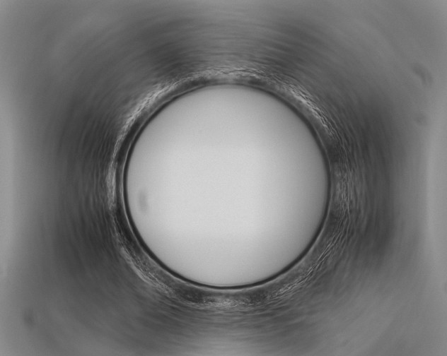X0000113560678200909181021