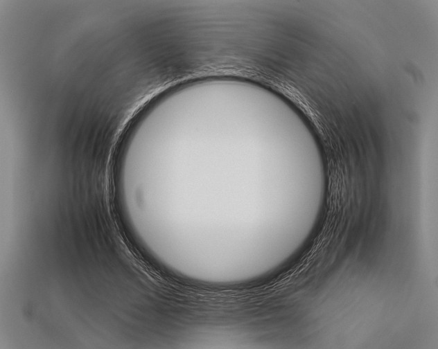 X0000113560680200909181021