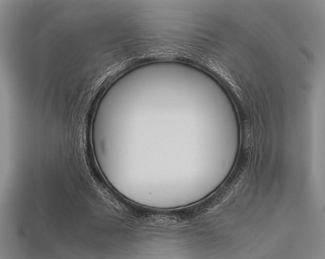 X0000113560681200909181021