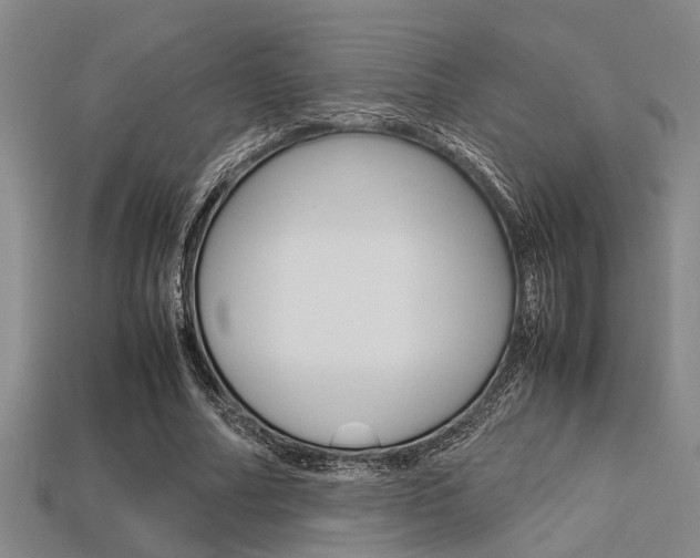X0000113560682200909181021