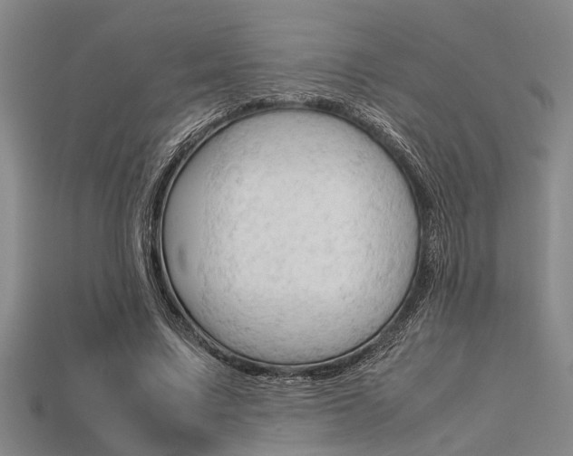 X0000113560683200909181021