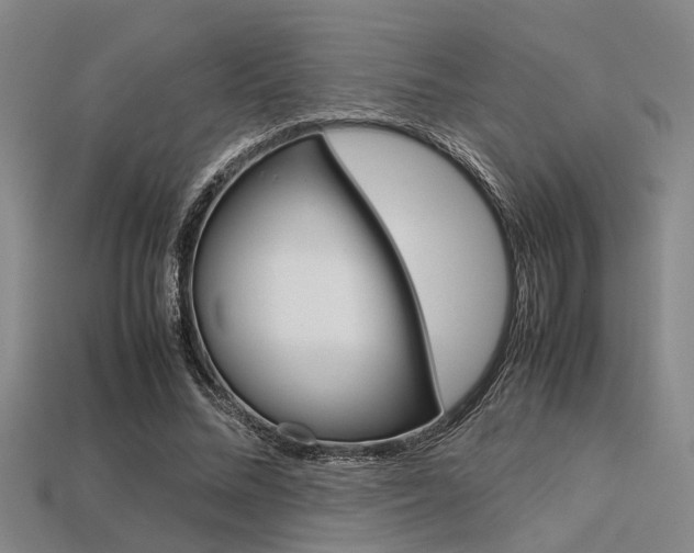 X0000113560684200909181021