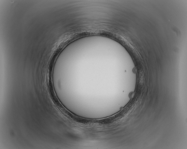 X0000113560685200909181021