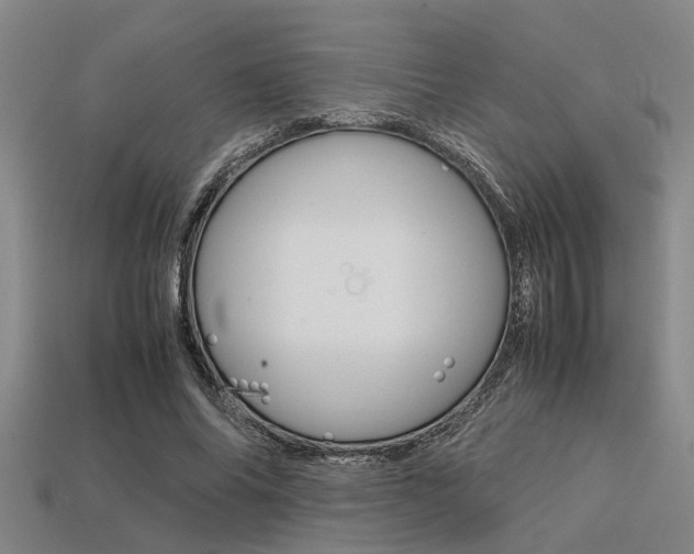 X0000113560686200909181021