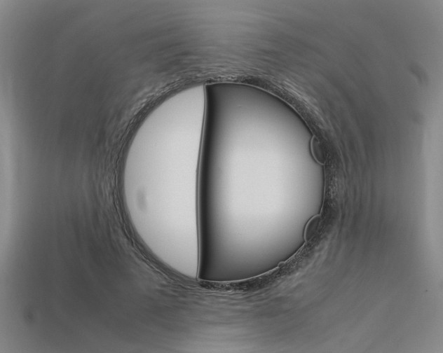 X0000113560689200909181021