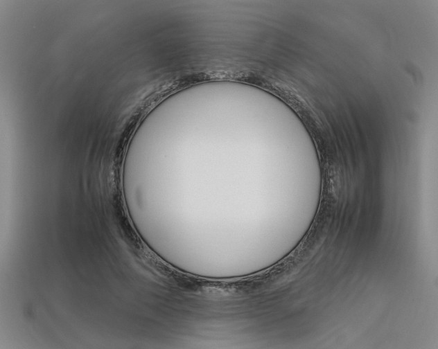 X0000113560690200909181021