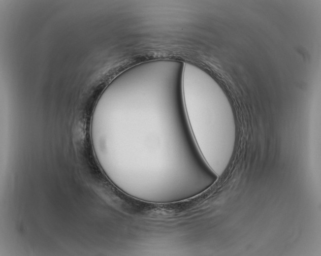 X0000113560691200909181021