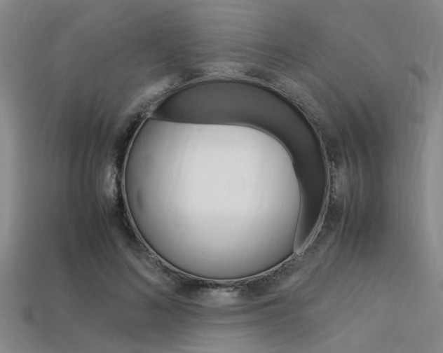 X0000113560692200909181021