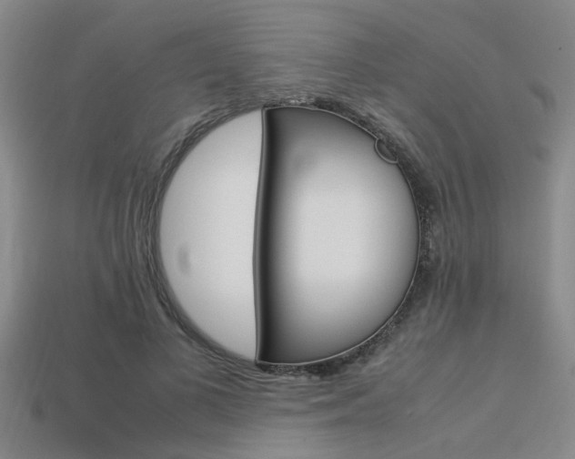 X0000113560693200909181021