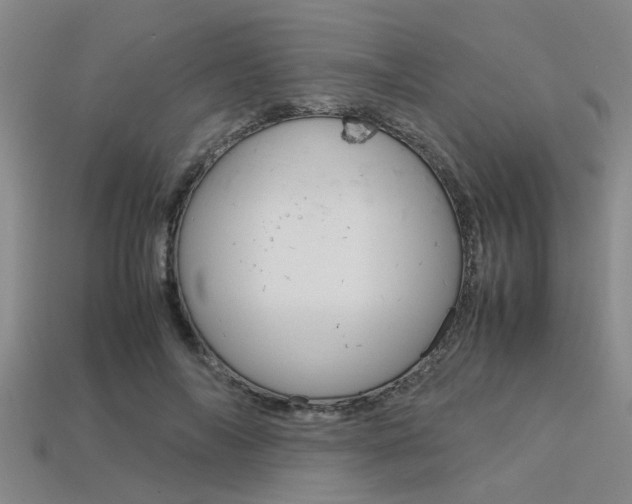 X0000113560694200909181021