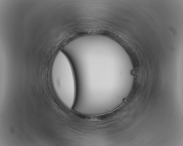 X0000113560695200909181021
