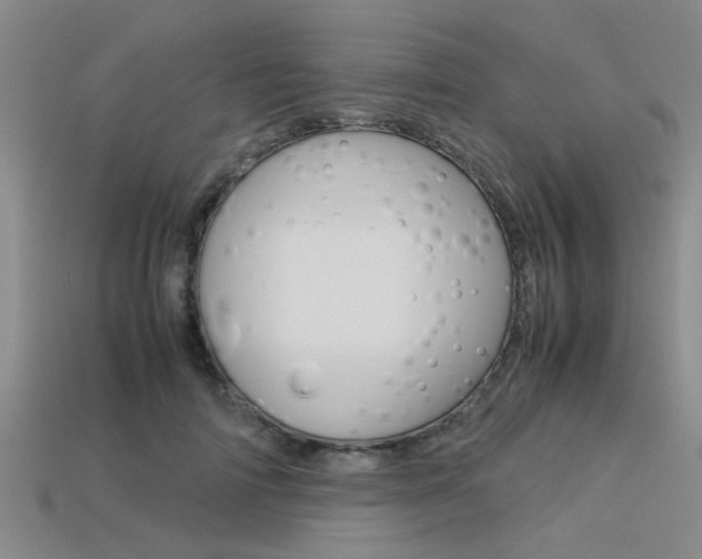 X0000113560698200909181021