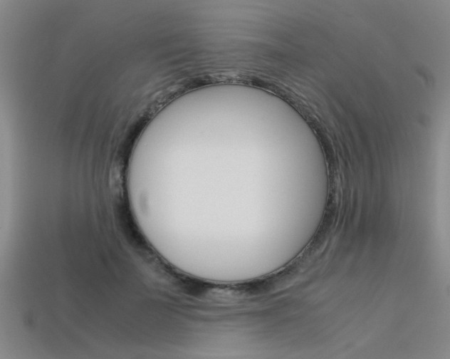 X0000113560699200909181021