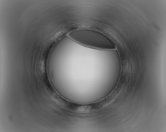 X0000113560700200909181021