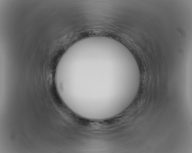X0000113560703200909181021