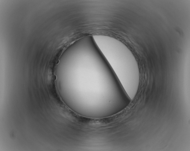 X0000113560704200909181021