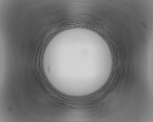 X0000113560705200909181021