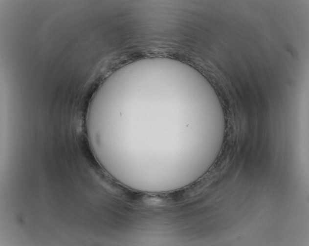 X0000113560706200909181021