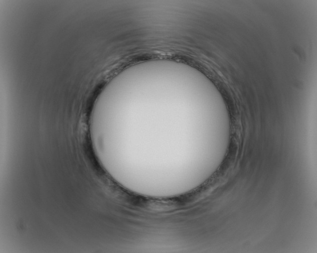X0000113560707200909181021