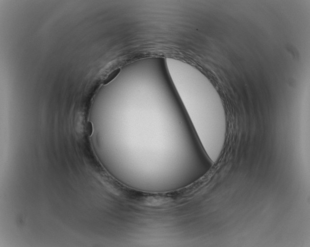 X0000113560708200909181021
