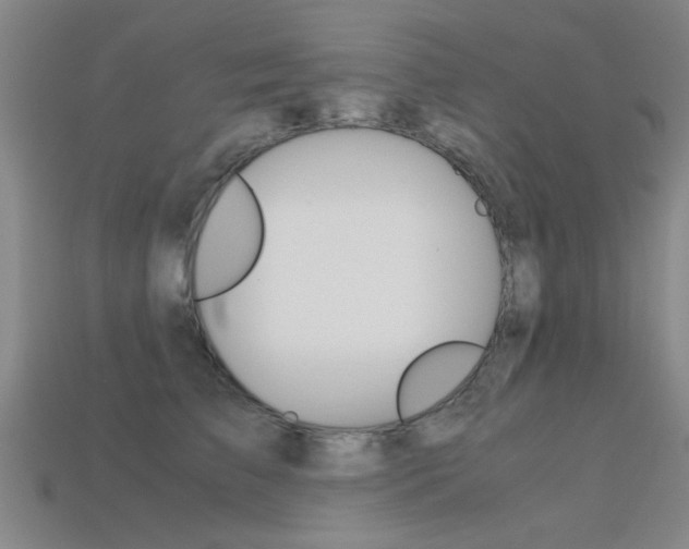 X0000113560709200909181021