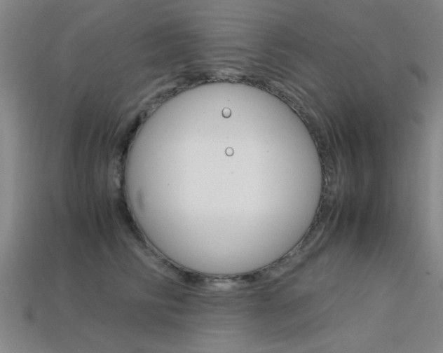 X0000113560710200909181021