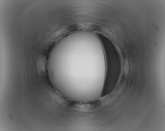 X0000113560712200909181021