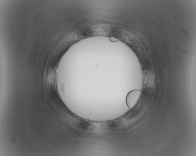 X0000113560713200909181021