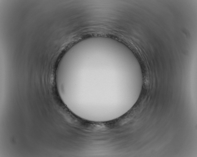 X0000113560715200909181021