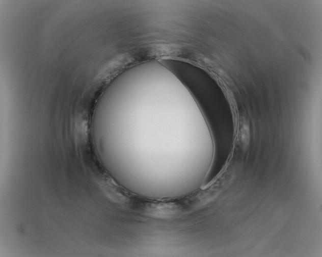X0000113560716200909181021