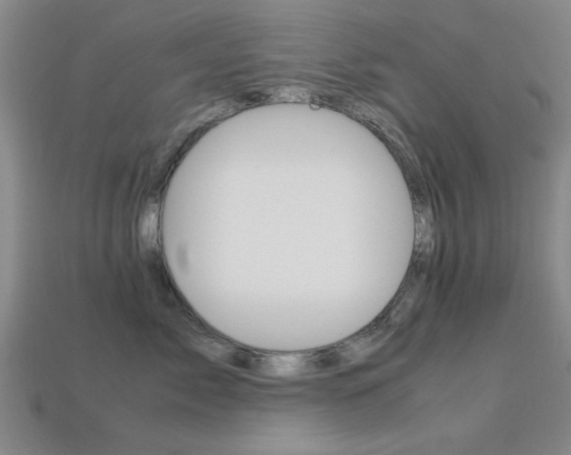 X0000113560717200909181021