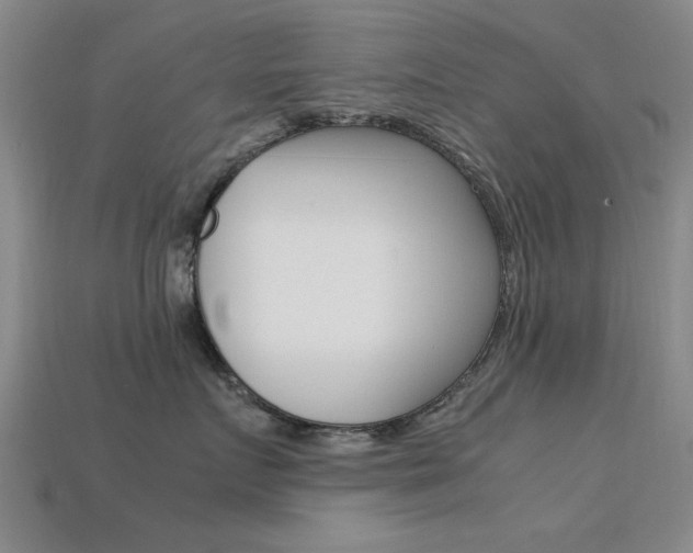 X0000113560719200909181021