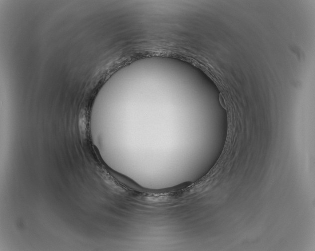 X0000113560720200909181021