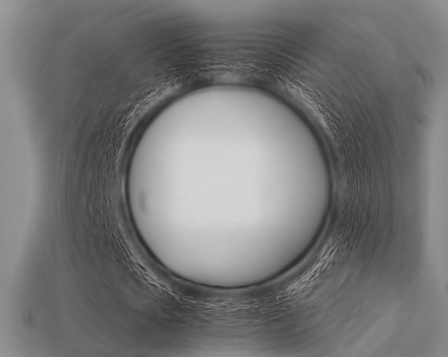 X0000113560721200909181020