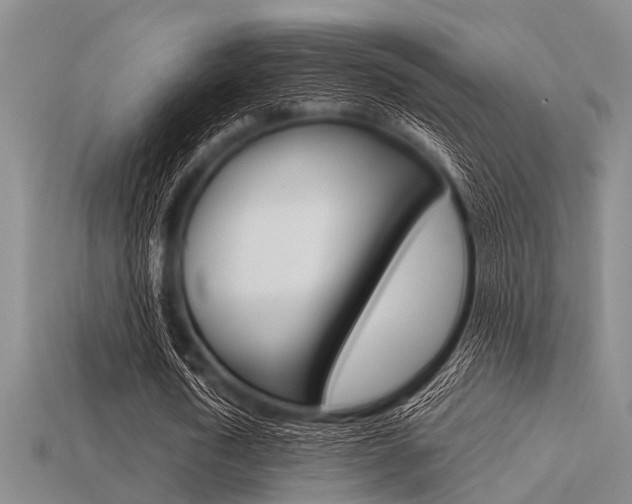 X0000113560722200909181020