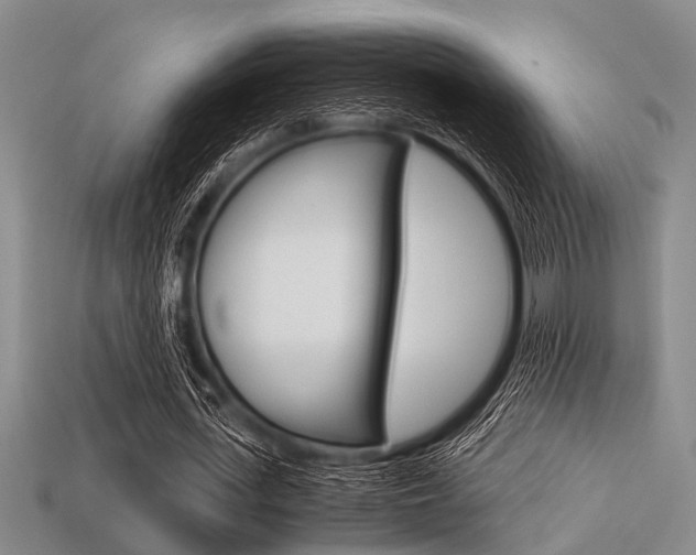 X0000113560723200909181020