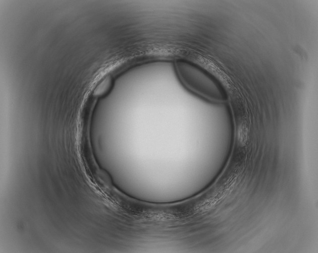 X0000113560724200909181020