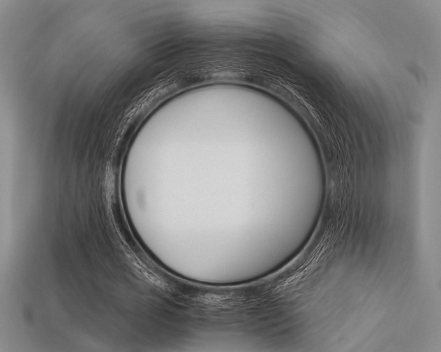X0000113560725200909181020