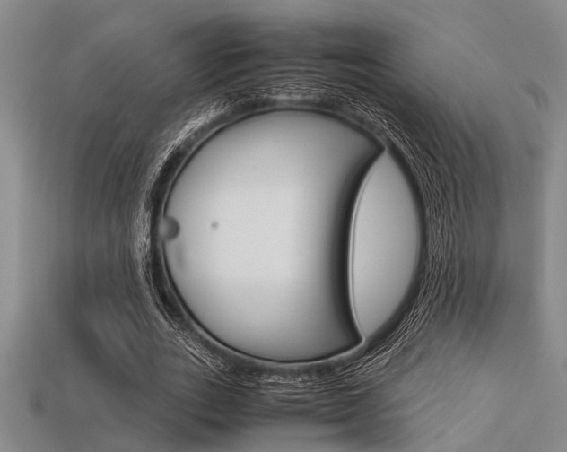 X0000113560727200909181020