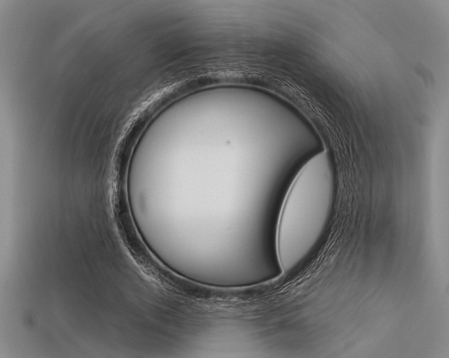 X0000113560728200909181020