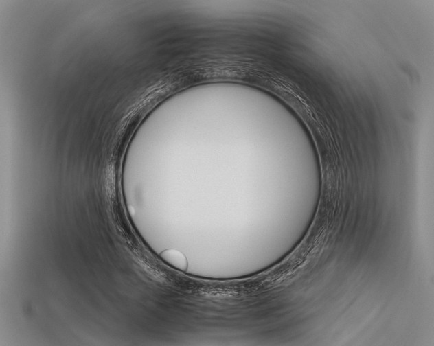 X0000113560729200909181020