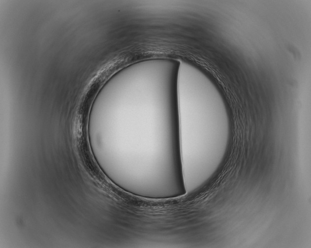 X0000113560731200909181020